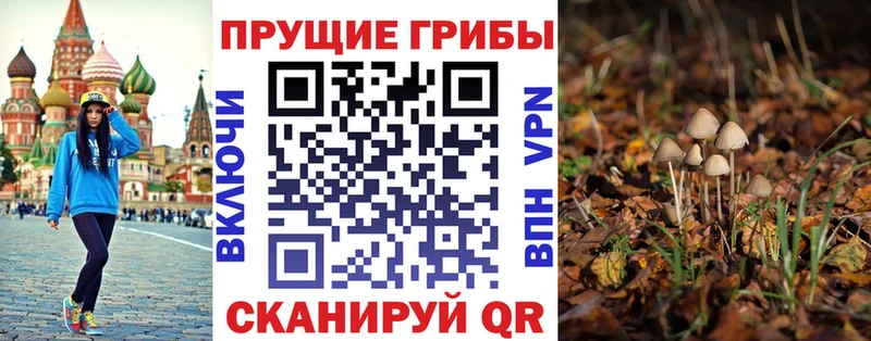 купить наркоту  Мантурово  Галлюциногенные грибы Psilocybe 